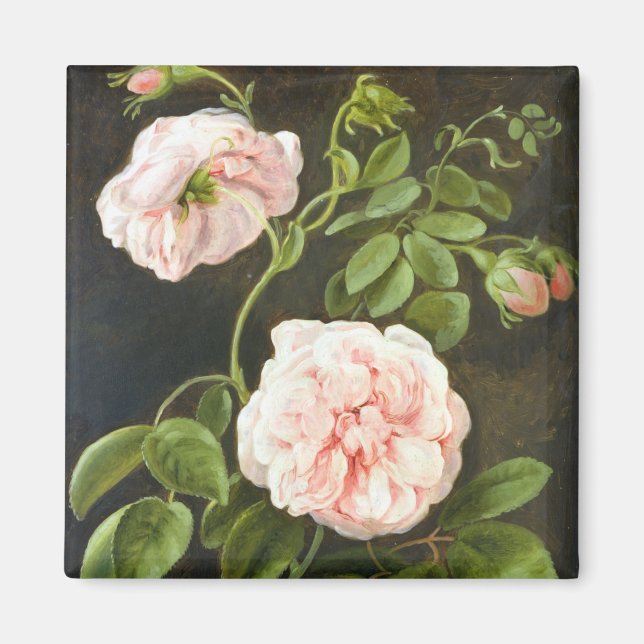 Íman Estudo da Flor (Frente)