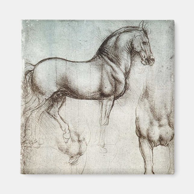 Íman Estudo Da Vinci Horse Renascance Sketch Belas Arte (Frente)
