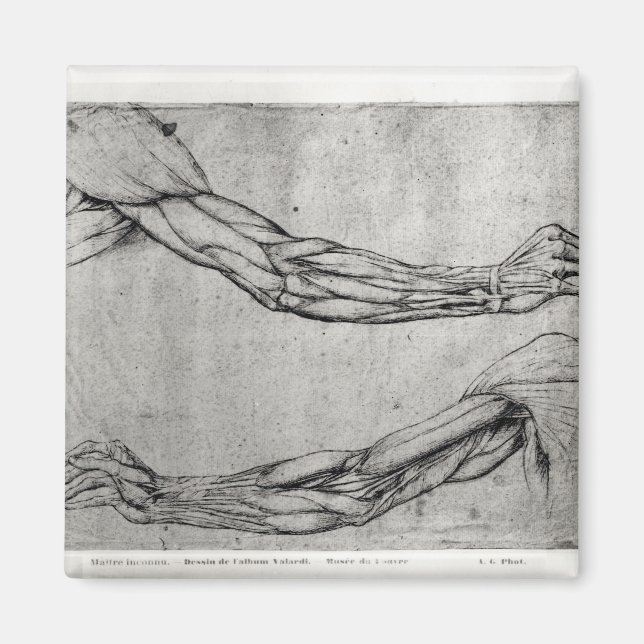 Íman Estudo de Armas (Frente)