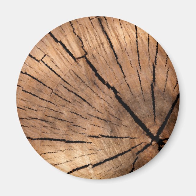 ÍMAN ESTUDO DE ÁRVORE (Frente)