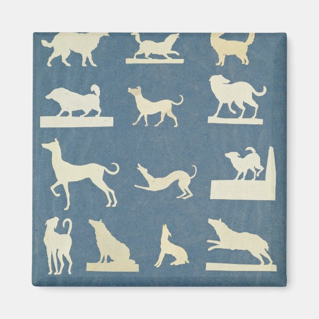 Íman Estudo de Cães (Frente)