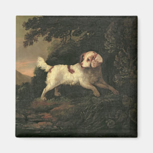 Íman Estudo de Clumber Spaniel