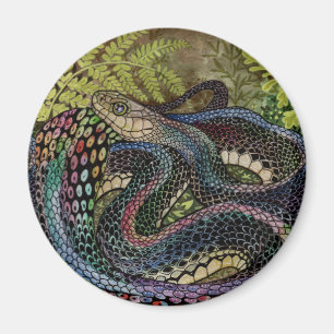 Íman Estudo de Cobra de jardineiro além da pele