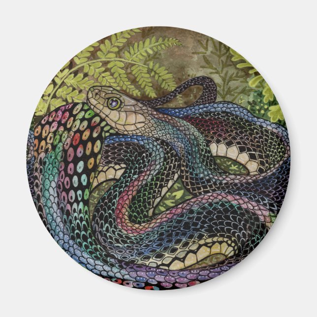Íman Estudo de Cobra de jardineiro além da pele (Frente)