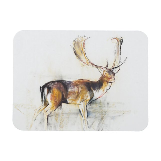Íman Estudo de Stag (Horizontal)