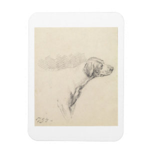 Íman Estudo de um cão, 1794 (lápis no papel)