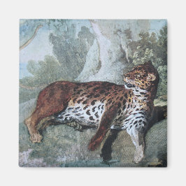 Íman Estudo de um Leopardo (por Jean-Baptiste Oudry)