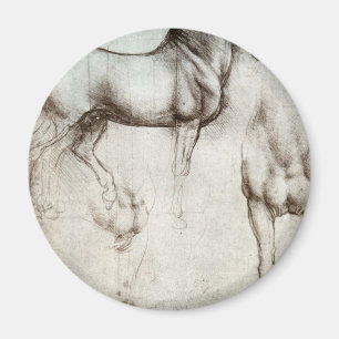 Íman Estudo dos cavalos - Leonardo da Vinci