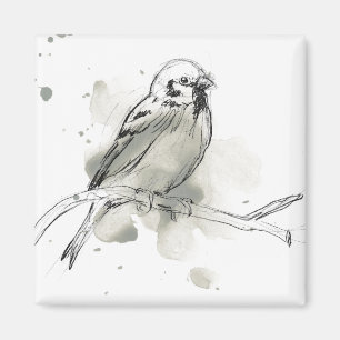 Íman Estudo Gestural sobre Aves