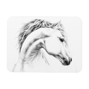 Íman Estudo-retrato de cavalos desenhando arte equestre