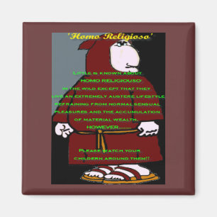 Íman Estudo sobre Homo Religioso