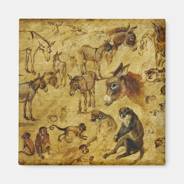 Íman Estudos de Animais: Macacos, Macacos, Gatos e Cães (Frente)