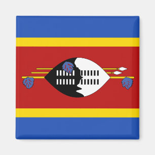 Íman Eswatini Flag Magnet