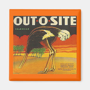 Íman ETIQUETA alaranjada do VINTAGE do ~ OUT-O-SITE da