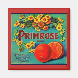 Íman Etiqueta da empresa de fruta de laranjas de vinage