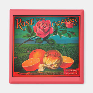 Íman etiqueta da fruta de rosa oranges de colheita