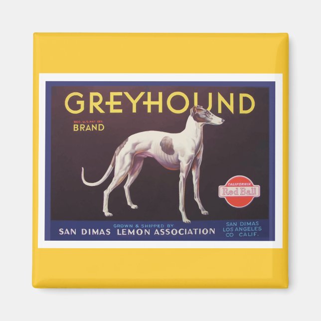 Íman Etiqueta de Taxa de Fruta do Greyhound (Frente)