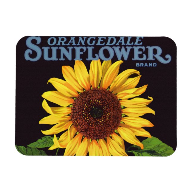 Íman Etiqueta de Taxa de Fruta Vintage Art Orangedale G (Horizontal)