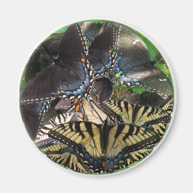 Íman ets_yin_zazzle (Frente)