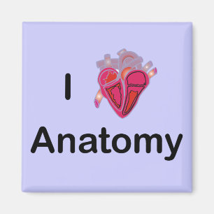 Íman Eu adoro anatomia com coração humano!