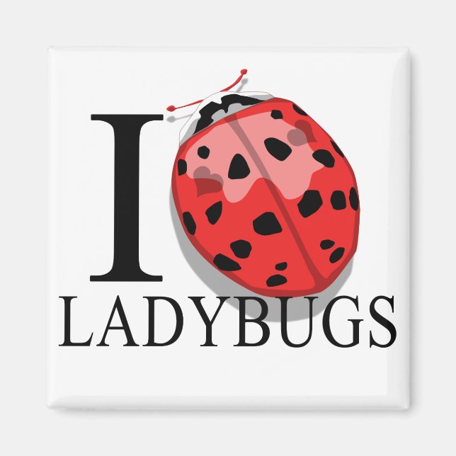 Íman Eu Adoro Damybugs Magnets (Frente)