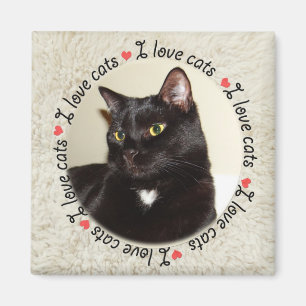 Íman Eu Adoro Gatos
