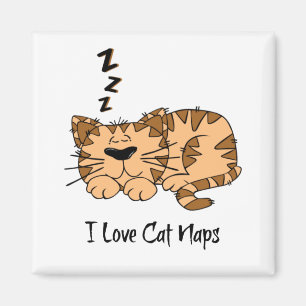 Íman Eu Adoro Nozes De Gato