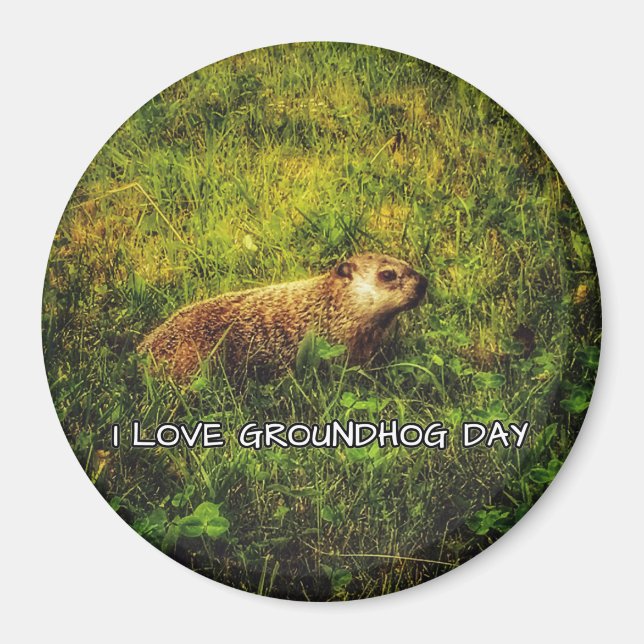 Íman Eu adoro o ímã do Dia da Marmota (Frente)