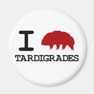 Íman Eu Adoro Tardinotas