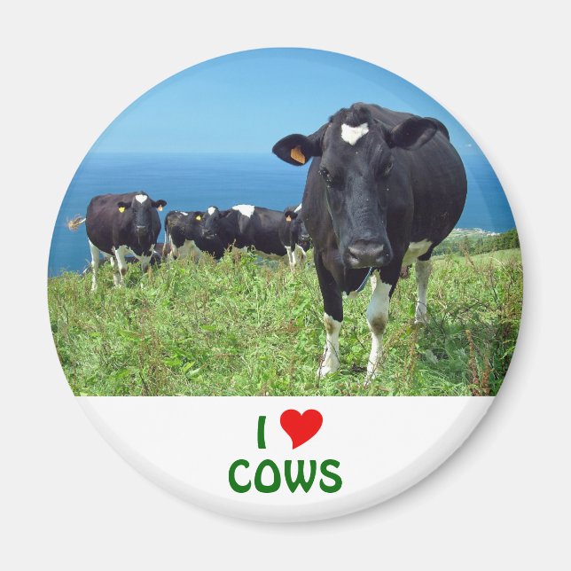 Íman Eu Adoro Vacas (Frente)
