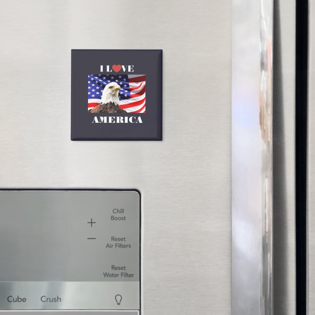 Íman Eu Amo a América (In Situ (Fridge))
