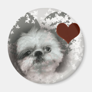 Íman Eu amo a imã de geladeira de Shih-Tzus
