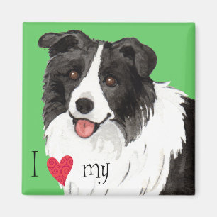 Íman Eu Amo a minha Borda Collie