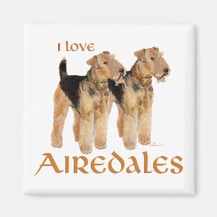 Íman Eu Amo Airedales