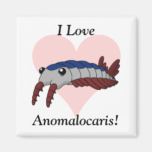 Íman Eu Amo Anomalocaris!