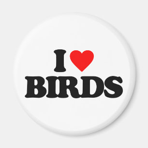ÍMAN EU AMO AVES