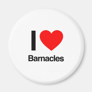 Íman eu amo barnacles