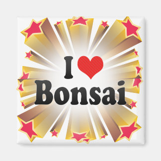 Íman Eu Amo Bonsai