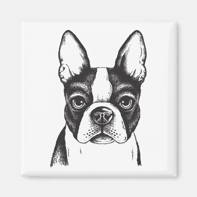 Íman Eu amo Boston Terriers (Frente)