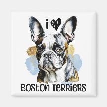 Eu Amo Boston Terriers