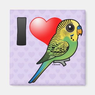 Íman Eu amo Budgies