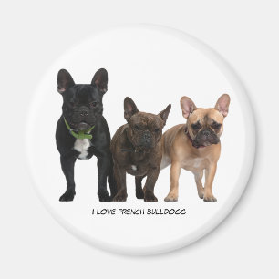 Íman Eu amo Bulls Franceses