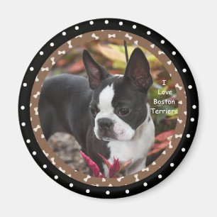 Íman Eu amo cães de Boston Terrier