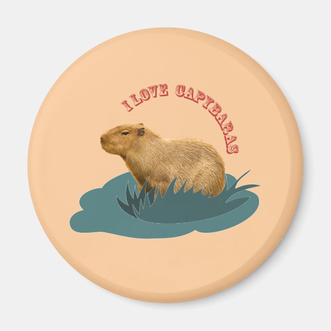 Íman Eu Amo Capivaras Amante de Capivara Fofa (Frente)