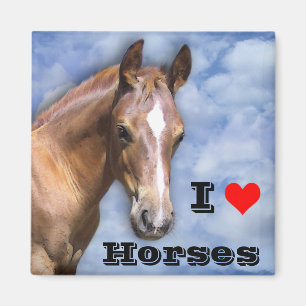 Íman Eu amo cavalos