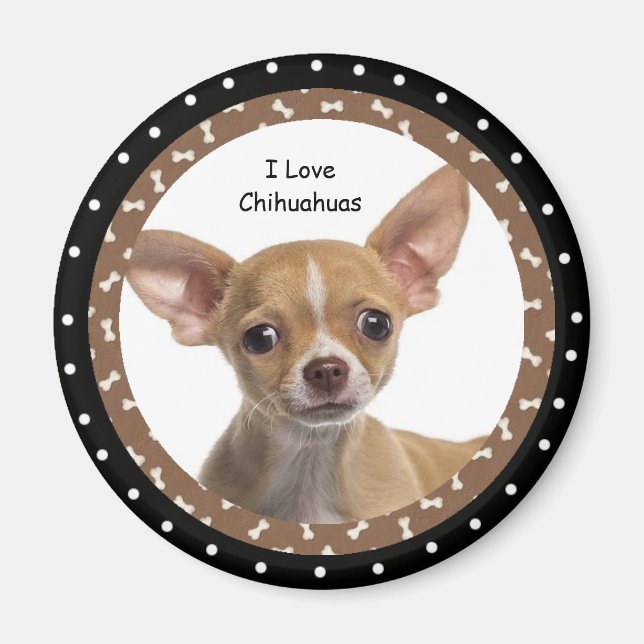 Íman Eu amo Chihuahuas 2 Magnet (Frente)