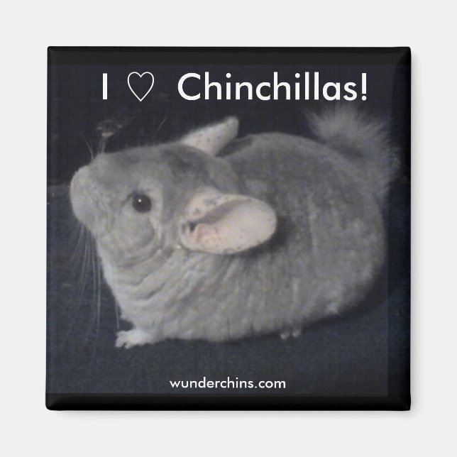 Íman Eu Amo Chinchillas (Frente)