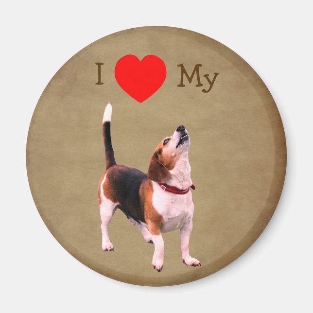 Íman Eu Amo Coração Meu Cachorro Beagle  (Frente)