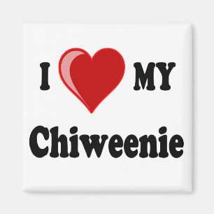 Íman Eu amo (coração) meu cão de Chiweenie