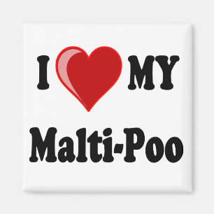 Íman Eu amo (coração) meu cão de Malti-Poo